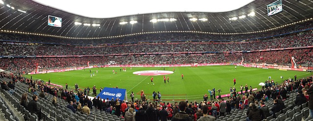 allianz-arena-594676_640.jpg