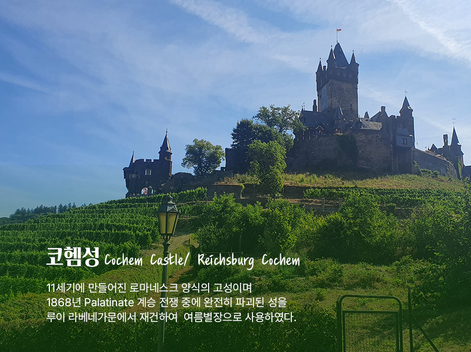 Ảnh_chụp_màn_hình_2025-05-22_161535.png