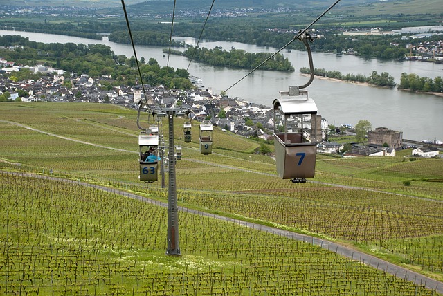rudesheim-am-rhein-5022364_640.jpg
