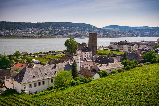 rudesheim-6368588_640 (2).jpg